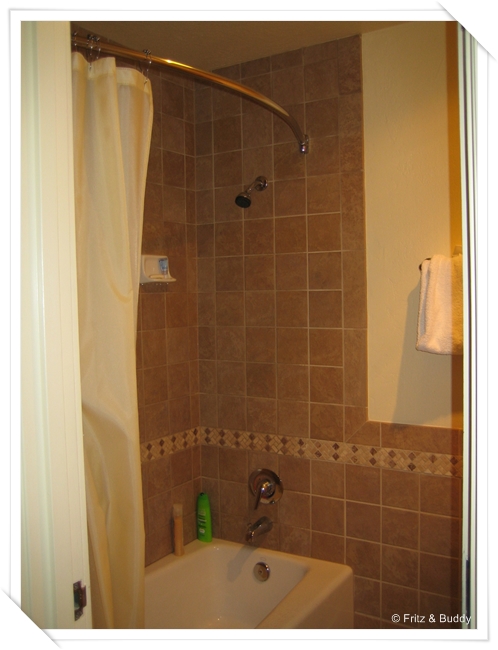 IMG 0295