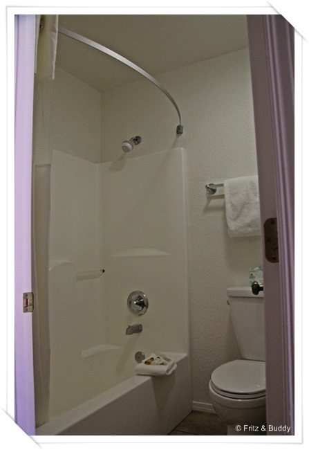IMG 0229