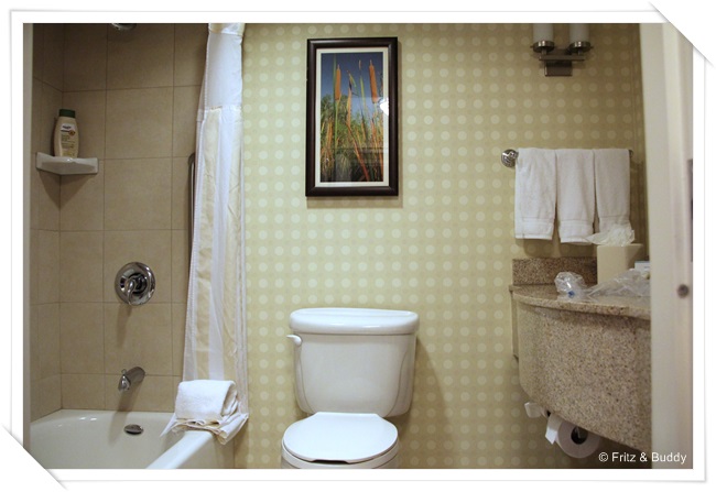 IMG 0789