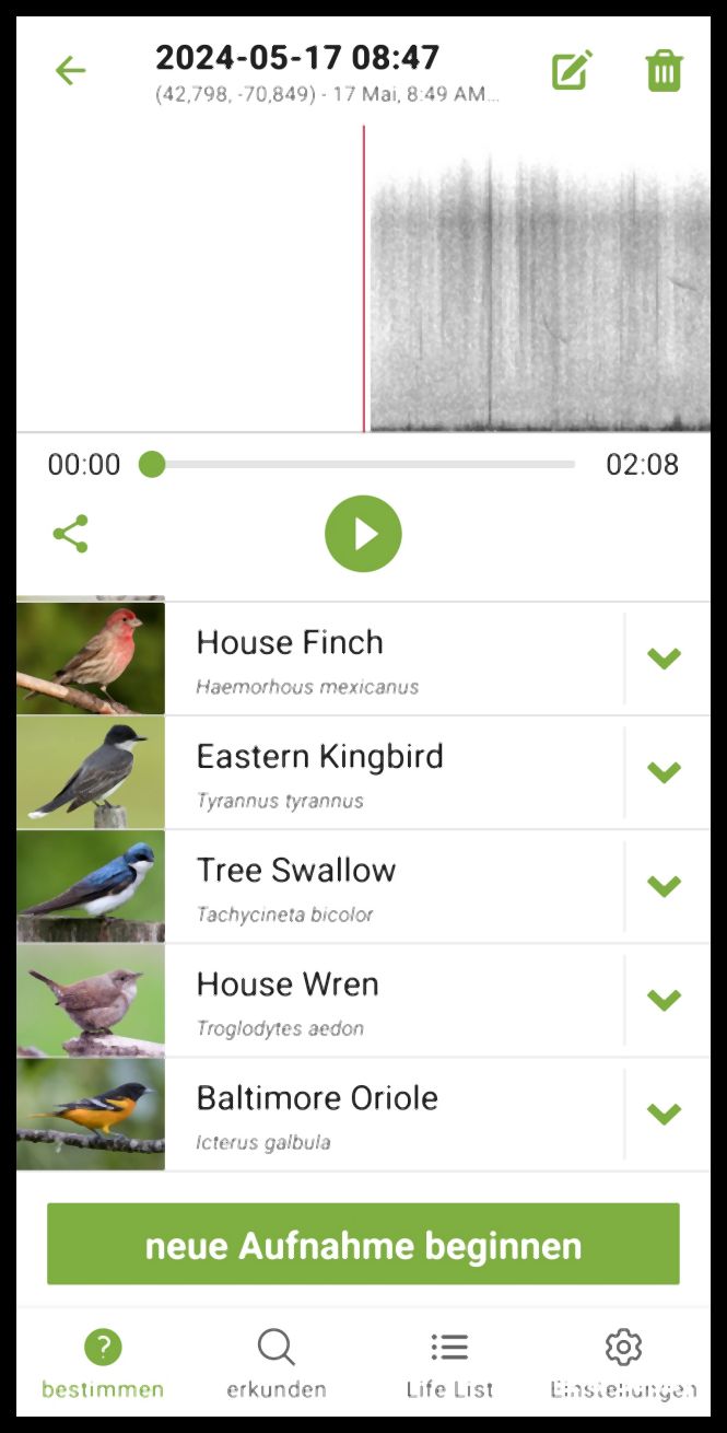 Screenshot 20240518 075551 Merlin Bird ID