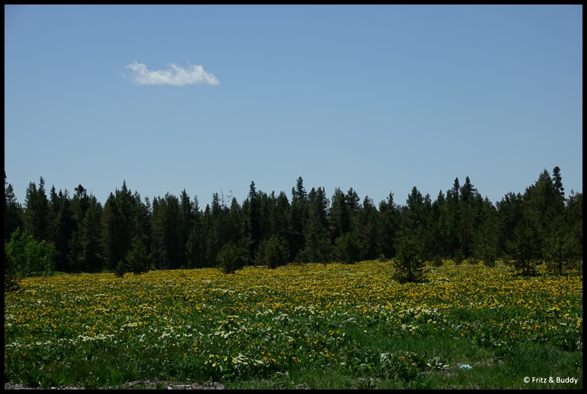 DSC00356