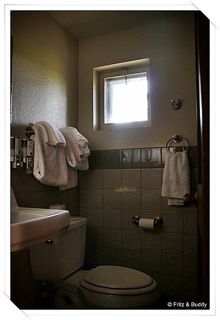 IMG 0938
