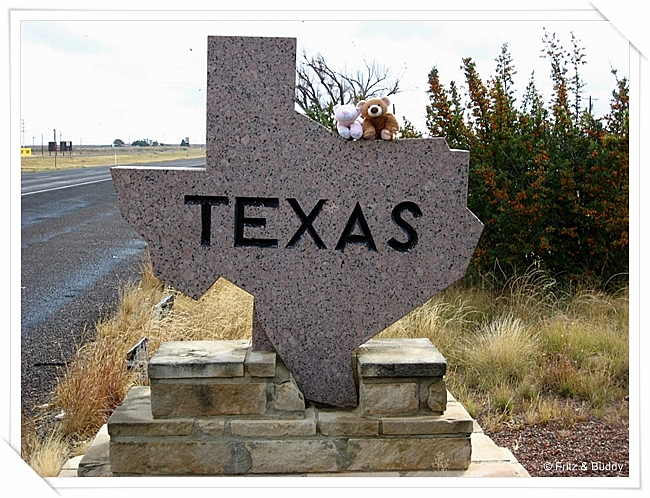 USA Texas 2009 832
